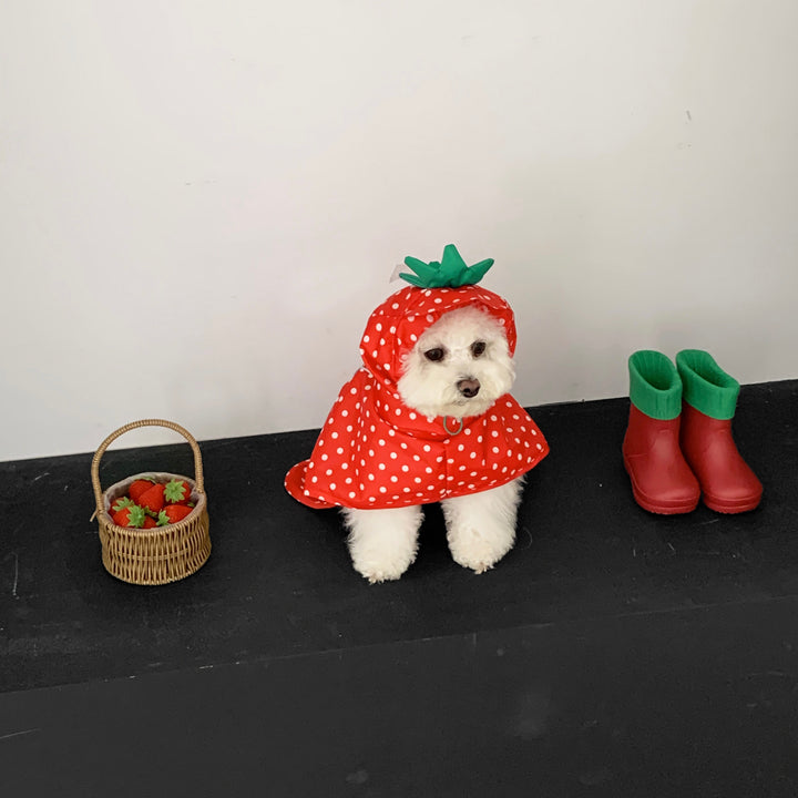 ※予約販売【DURANG RURANG】Strawberry Poncho Raincoat