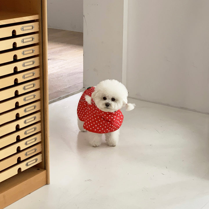 ※予約販売【DURANG RURANG】Strawberry Poncho Raincoat
