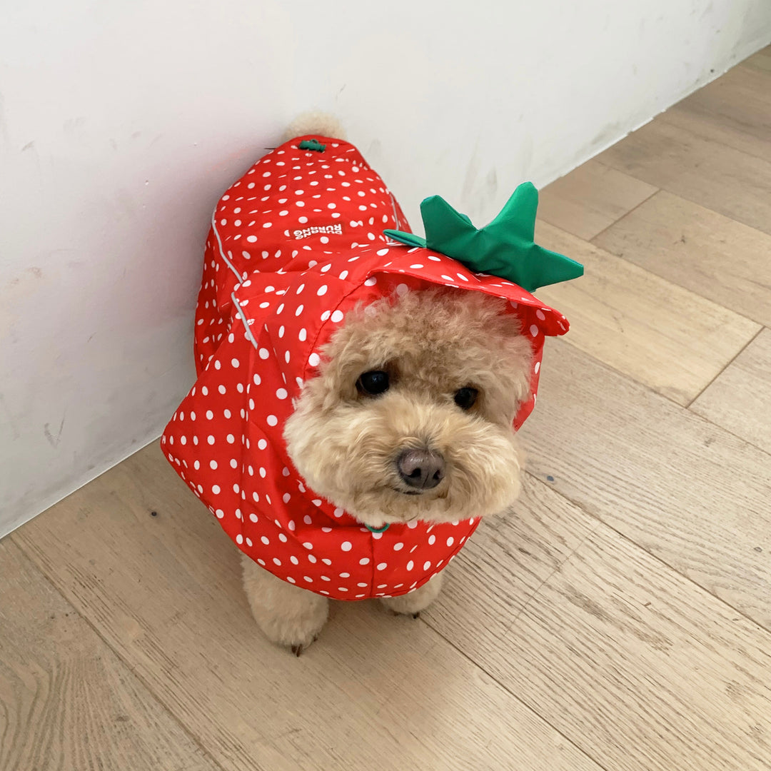 ※予約販売【DURANG RURANG】Strawberry Poncho Raincoat