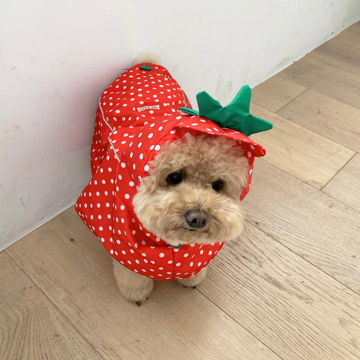 ※予約販売【DURANG RURANG】Strawberry Poncho Raincoat