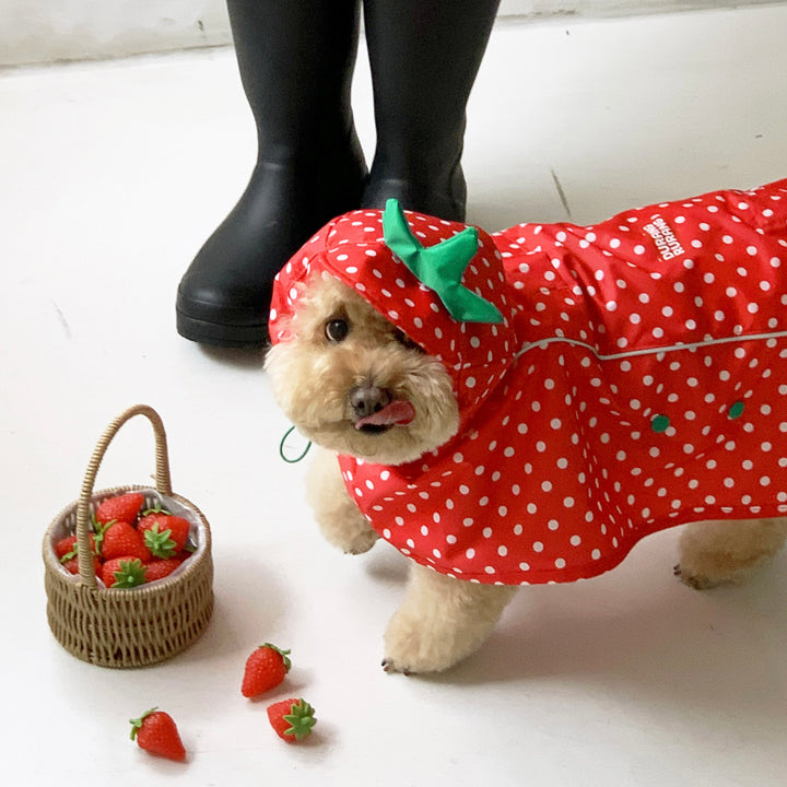 ※予約販売【DURANG RURANG】Strawberry Poncho Raincoat