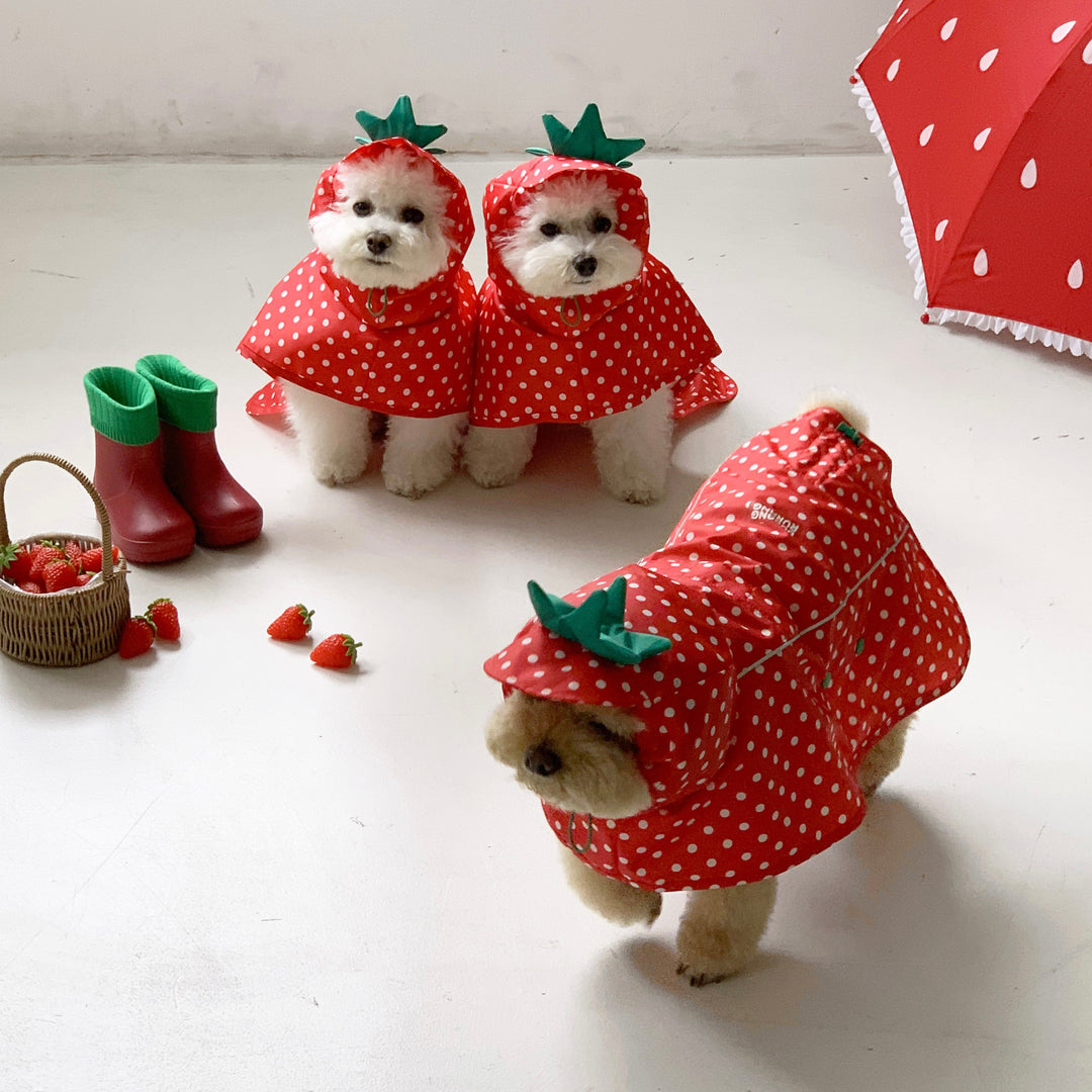 ※予約販売【DURANG RURANG】Strawberry Poncho Raincoat