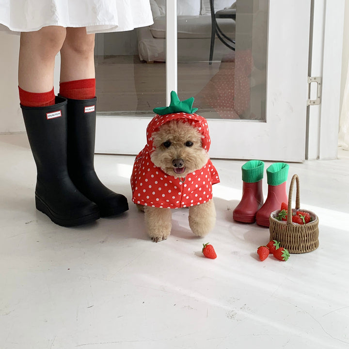 ※予約販売【DURANG RURANG】Strawberry Poncho Raincoat