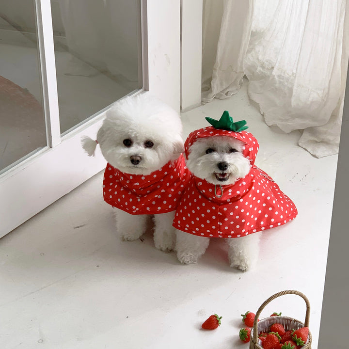 ※予約販売【DURANG RURANG】Strawberry Poncho Raincoat