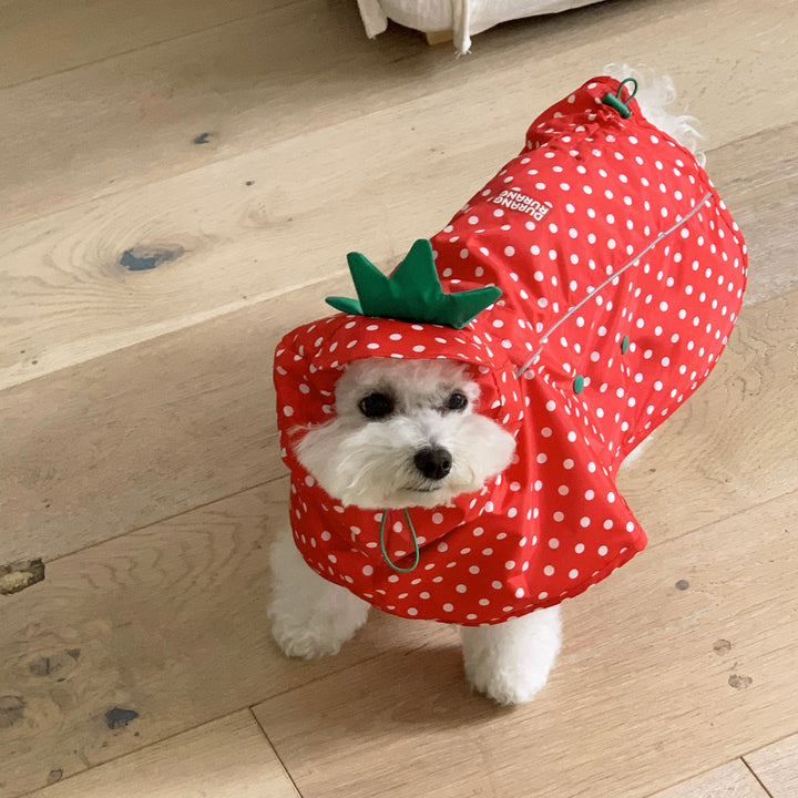 ※予約販売【DURANG RURANG】Strawberry Poncho Raincoat