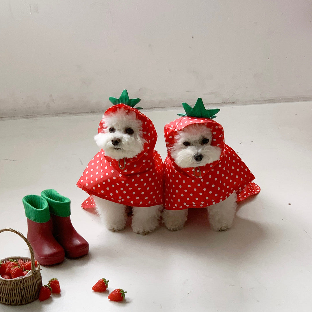 ※予約販売【DURANG RURANG】Strawberry Poncho Raincoat