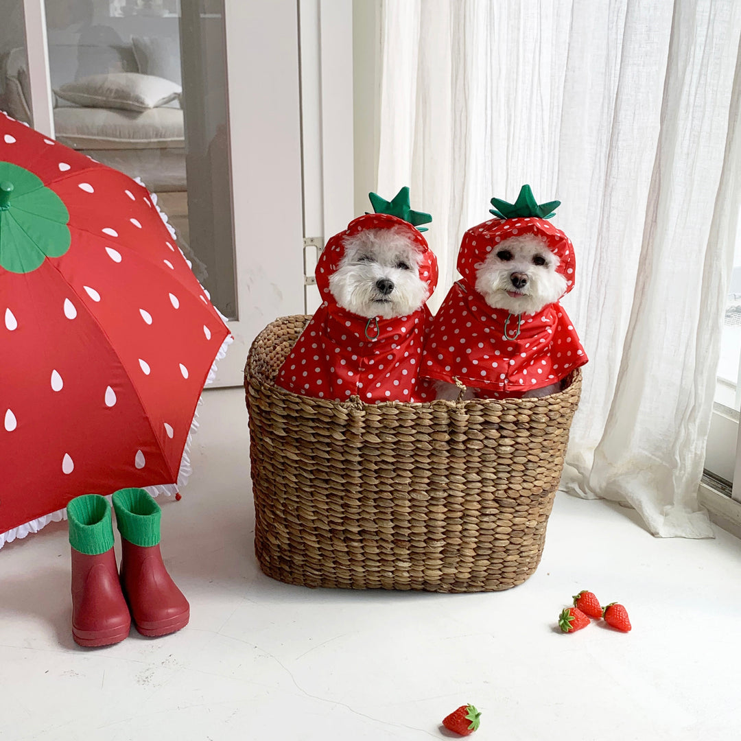 ※予約販売【DURANG RURANG】Strawberry Poncho Raincoat