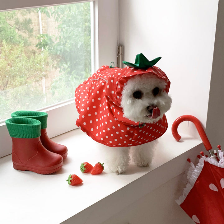 ※予約販売【DURANG RURANG】Strawberry Poncho Raincoat