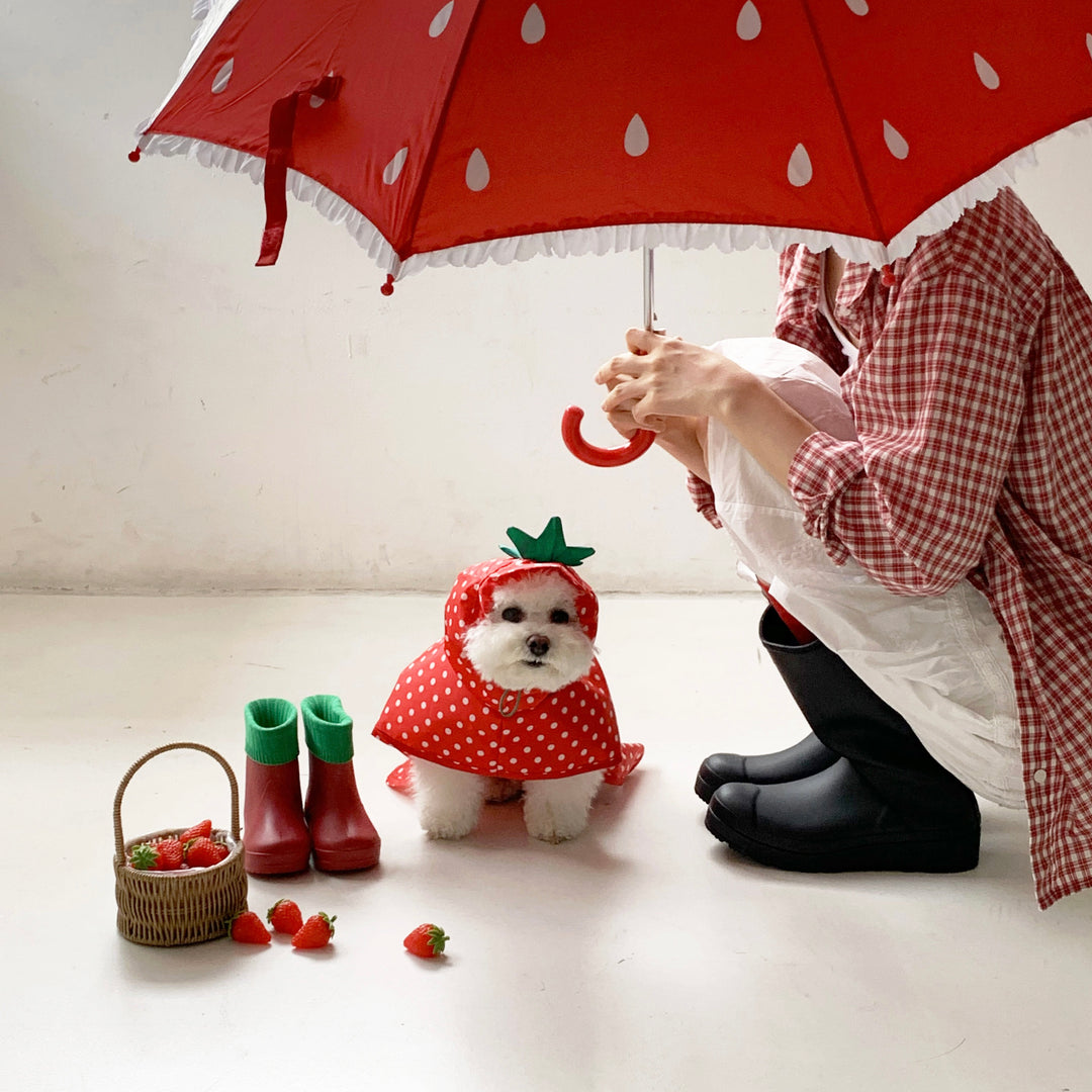 ※予約販売【DURANG RURANG】Strawberry Poncho Raincoat