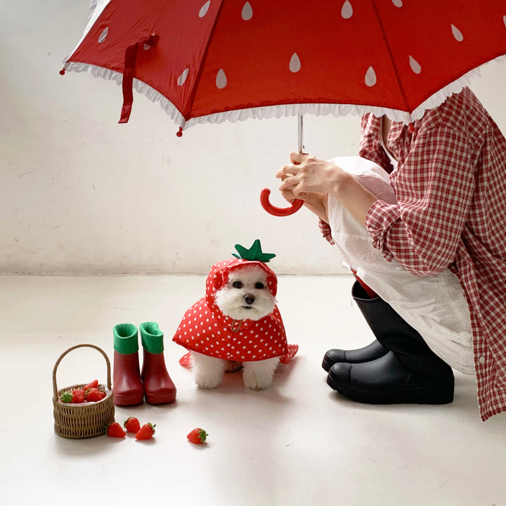※予約販売【DURANG RURANG】Strawberry Poncho Raincoat
