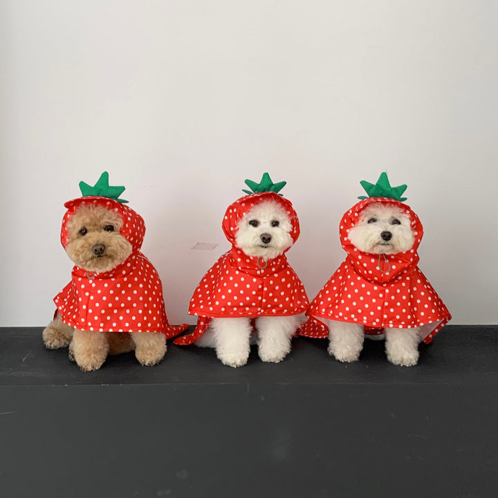 ※予約販売【DURANG RURANG】Strawberry Poncho Raincoat