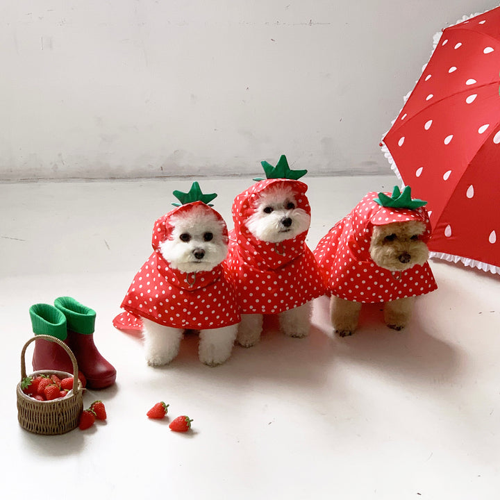 ※予約販売【DURANG RURANG】Strawberry Poncho Raincoat