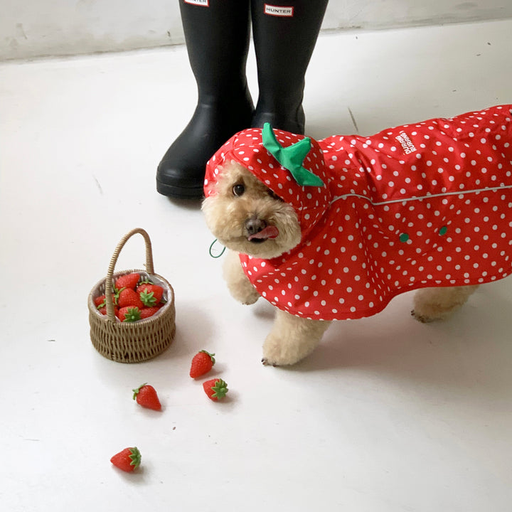 ※予約販売【DURANG RURANG】Strawberry Poncho Raincoat