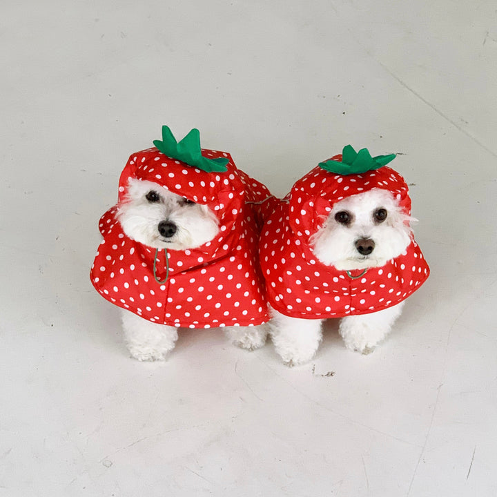 ※予約販売【DURANG RURANG】Strawberry Poncho Raincoat