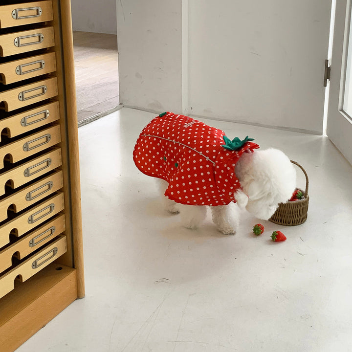 ※予約販売【DURANG RURANG】Strawberry Poncho Raincoat