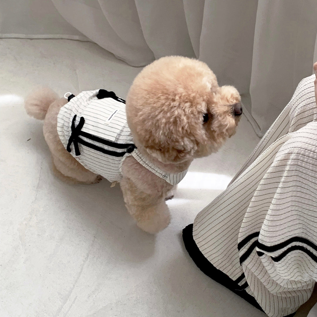 ※予約販売【DURANG RURANG】Cotton Ribbon Top（Ivory）