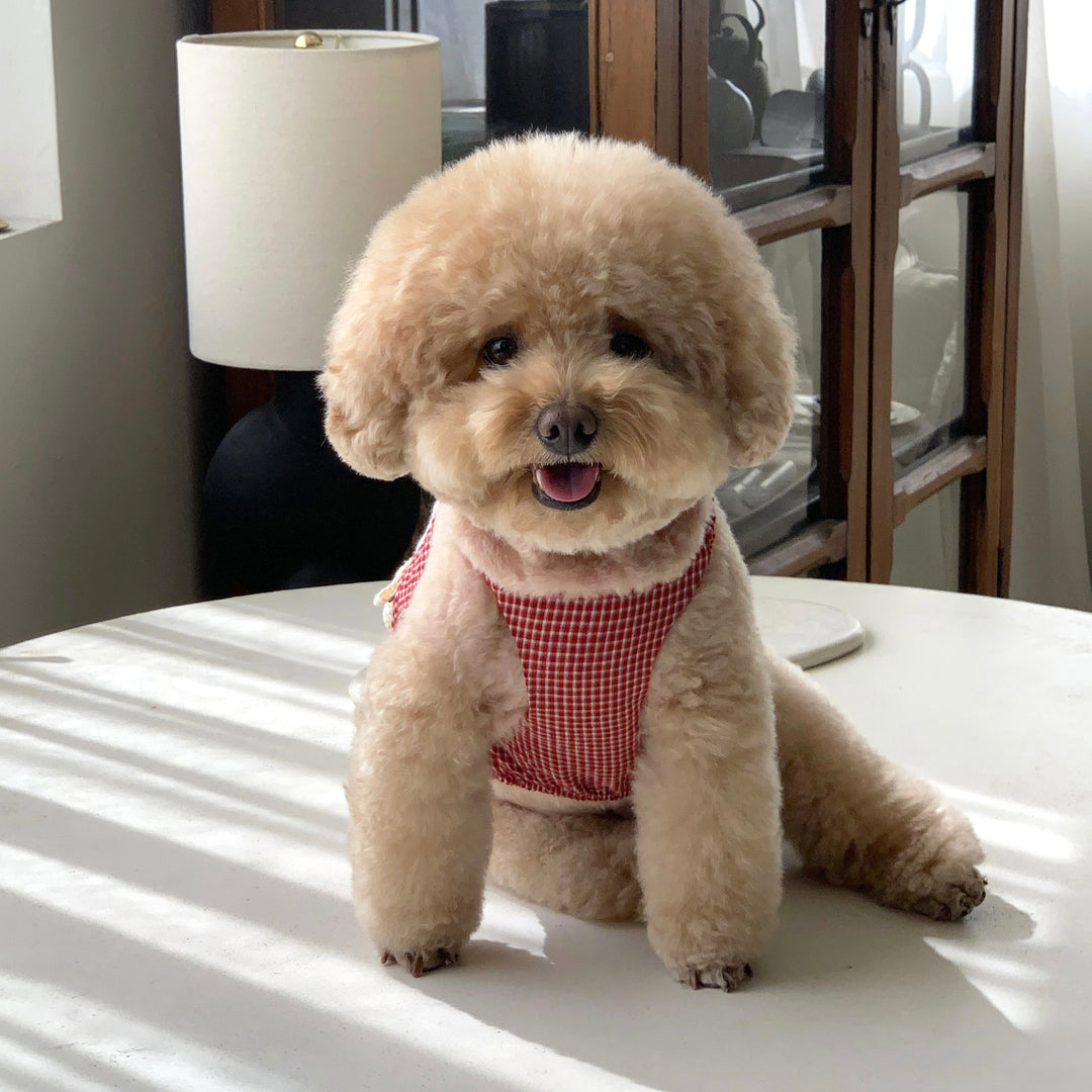 ※予約販売【DURANG RURANG】Cotton Ribbon Top（Brick Red）