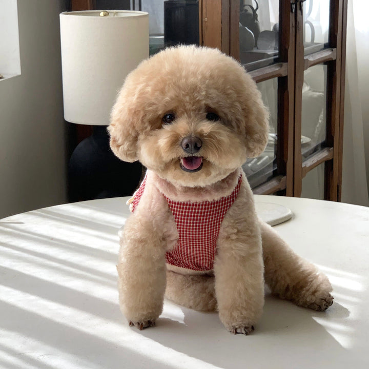 ※予約販売【DURANG RURANG】Cotton Ribbon Top（Brick Red）