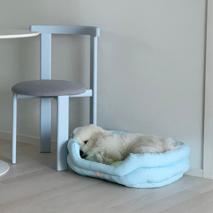 ※予約販売【OOPS! MY DOG】Bonjour Neon Pop Basket