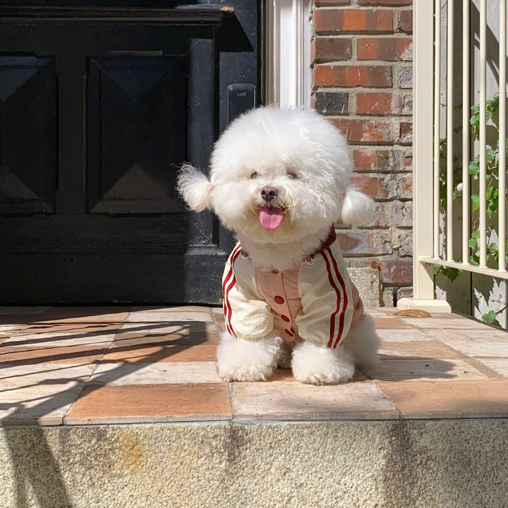 ※予約販売【DURANG RURANG】Maple Wind breaker（2color）