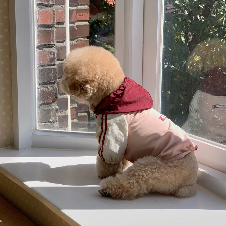 ※予約販売【DURANG RURANG】Maple Wind breaker（2color）