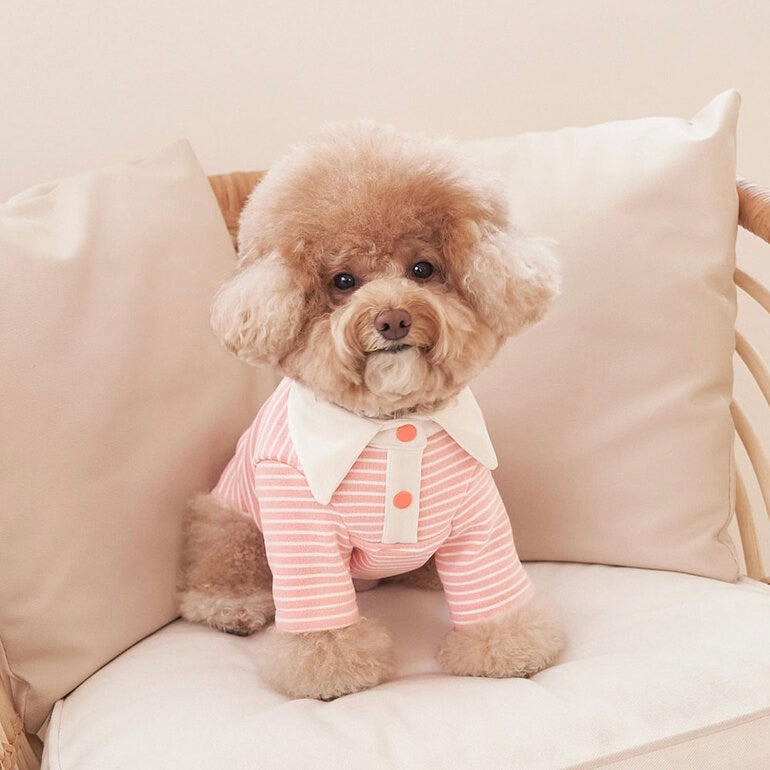 ※予約販売【Bailey】Roy Collar T-shirt（Coral Peach）