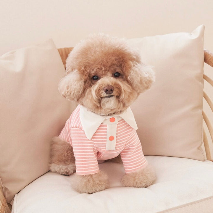 ※予約販売【Bailey】Roy Collar T-shirt（Coral Peach）