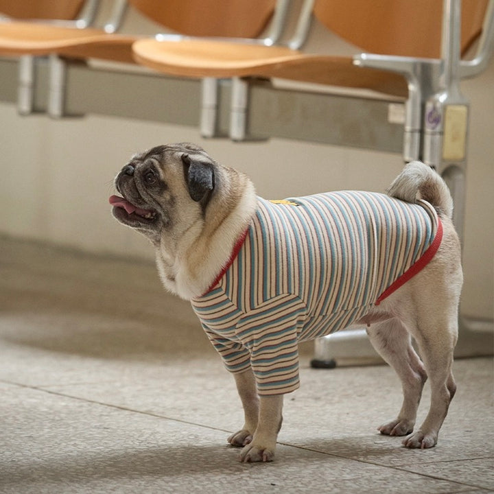 ※予約販売【andblank】A Stitch SoftWarm Stripe Short Sleeve（Ecru）