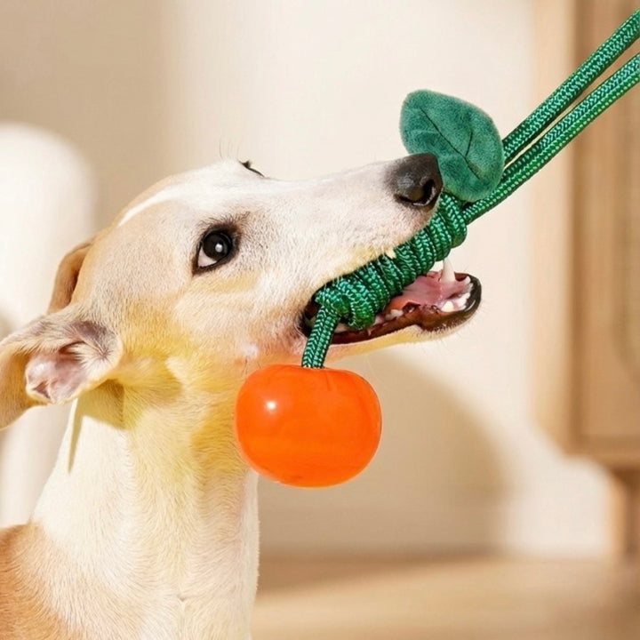 即納【DOGSKETCH】Delicious Fruits Toy