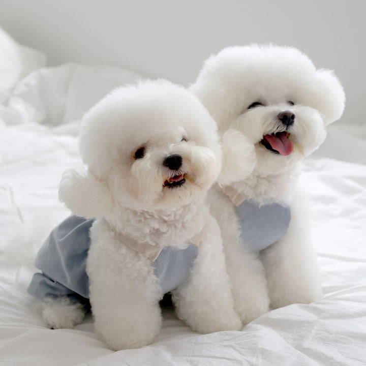 ※予約販売【near by us】corduroy dot crop top (blue)