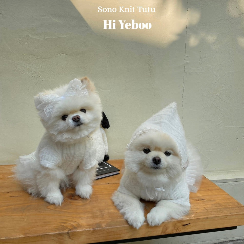 ※予約販売【Hi Yeboo】Sono Knit Tutu