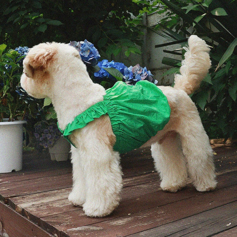 新着アイテム – URBAN DOG TOKYO