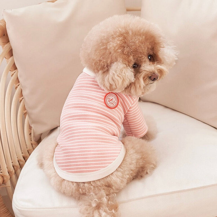 ※予約販売【Bailey】Roy Collar T-shirt（Coral Peach）