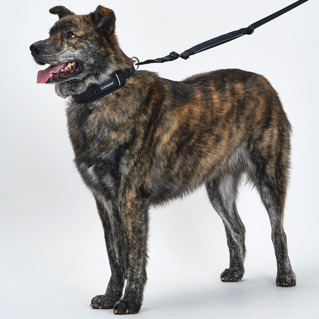 ※予約販売【munikund】TREKTAIL Collar - Black
