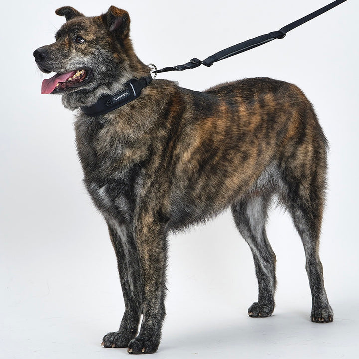 ※予約販売【munikund】TREKTAIL Collar - Black