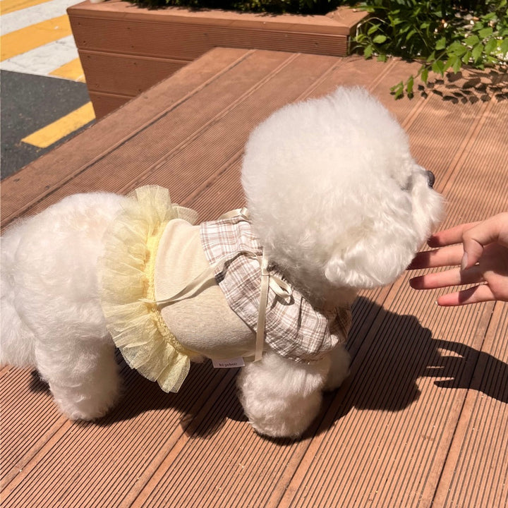 ※予約販売【Hi Yeboo】Sora Cape Collar Tutu（Blue / Beige）