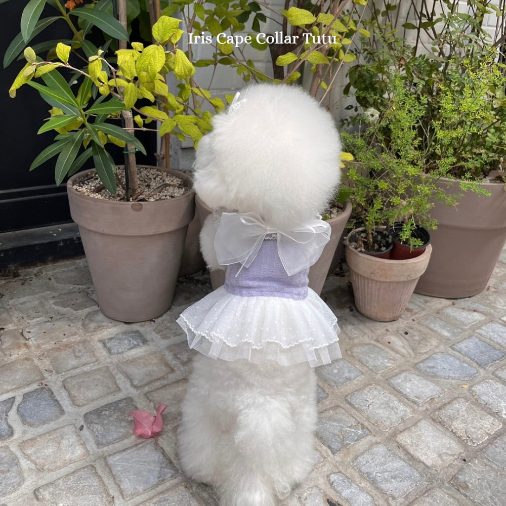 ※予約販売【Hi Yeboo】Iris Cape Collar Tutu