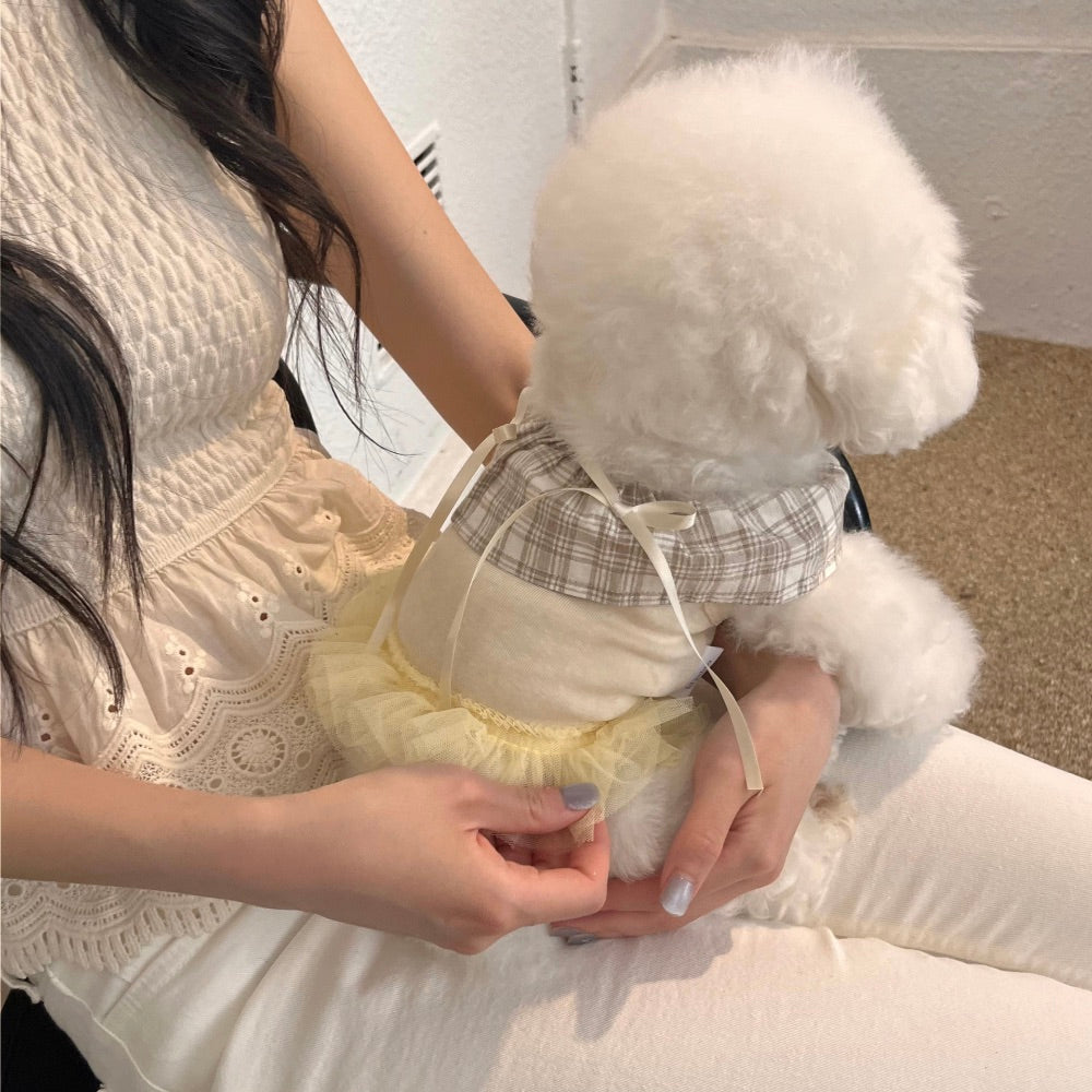 ※予約販売【Hi Yeboo】Sora Cape Collar Tutu（Blue / Beige）