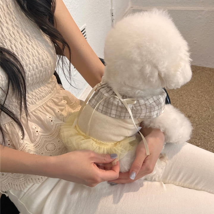 ※予約販売【Hi Yeboo】Sora Cape Collar Tutu（Blue / Beige）