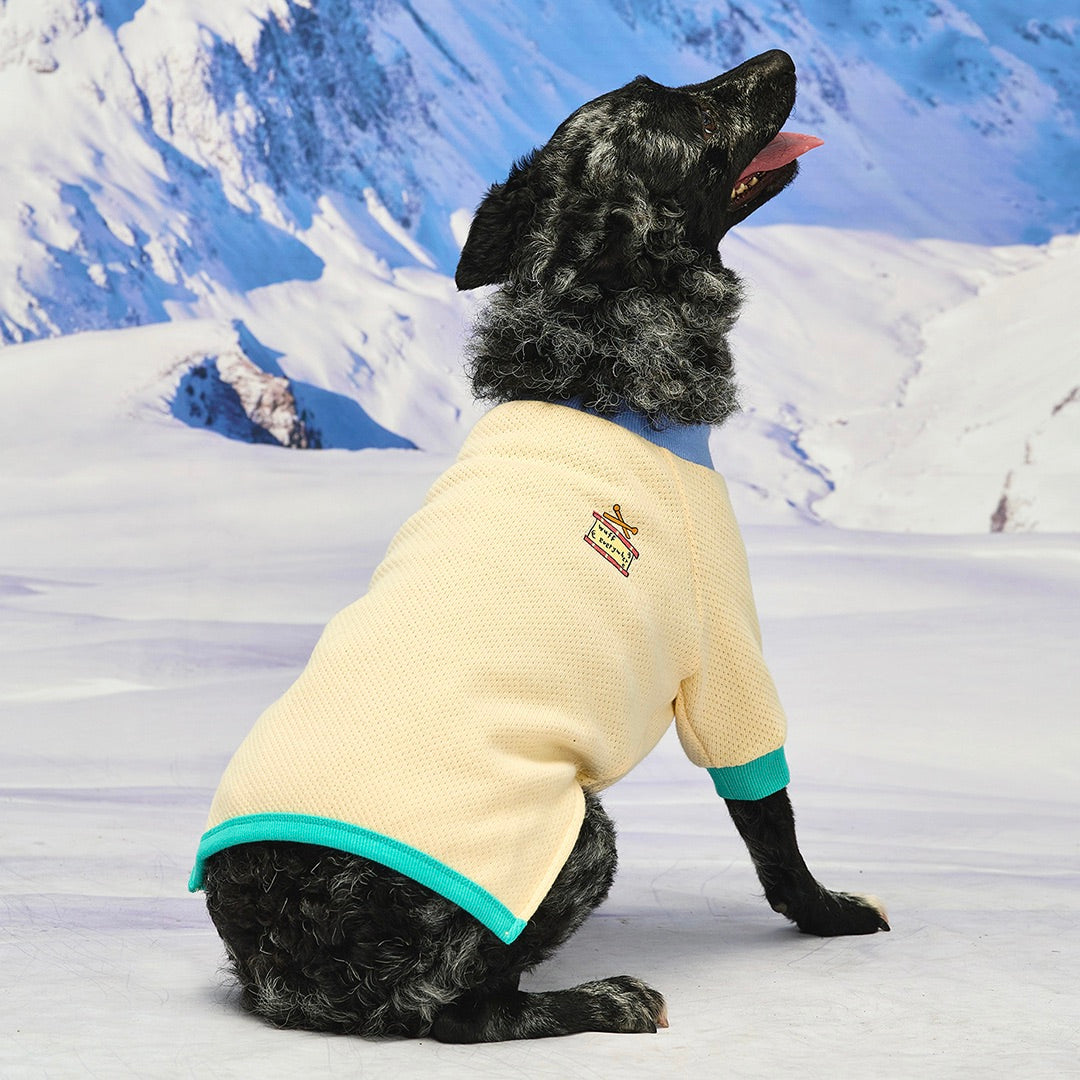 海外犬服高品質なインポートのドッグウェア通販 