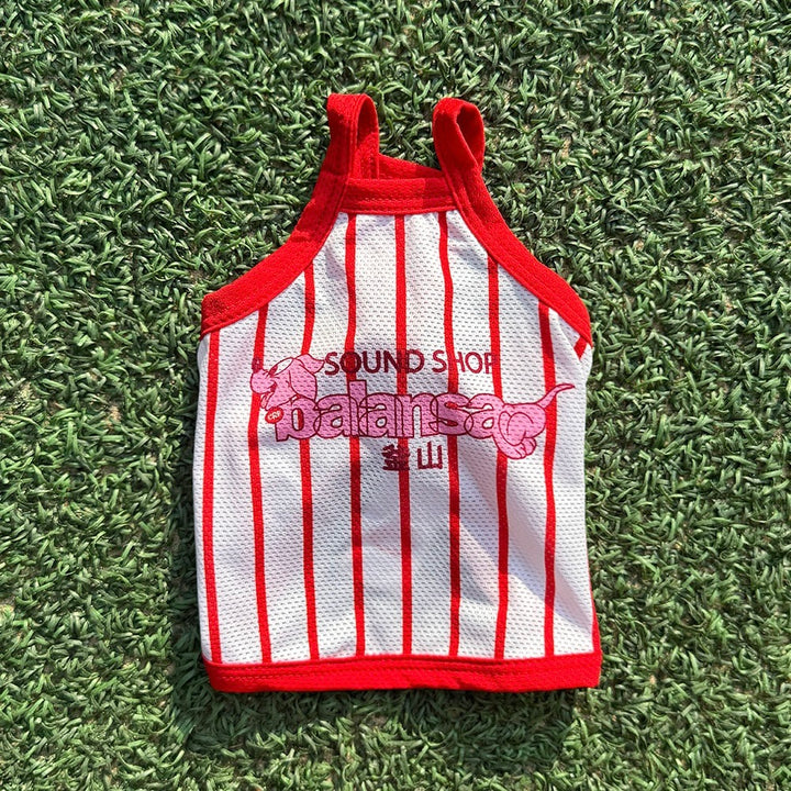 ※予約販売【CRR】Balansa Sporty Stripe Top（White）