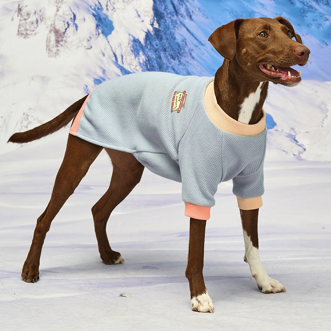 ※予約販売【munikund】Wuff Pullover（Blue）