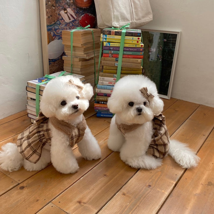 ※予約販売【Hi Yeboo】Amelie Ribbon Collection（Brown）