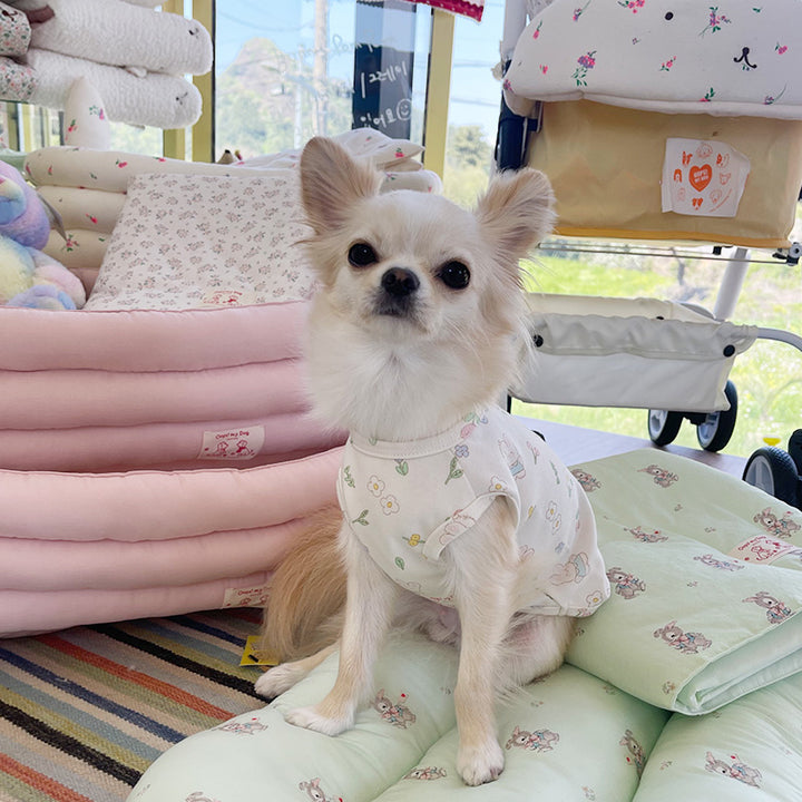 ※予約販売【OOPS! MY DOG】Spring Bunny Pyjama