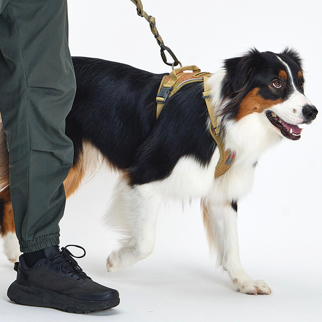 ※予約販売【munikund】TREKTAIL Harness - Beige ｜犬用ハーネス