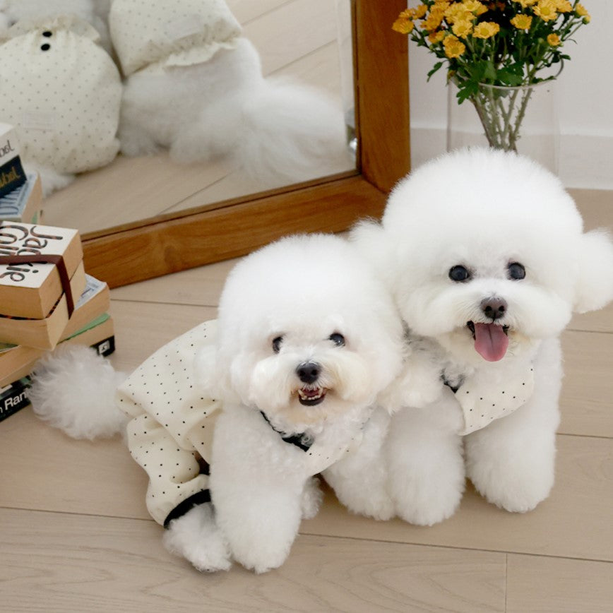 ※予約販売【near by us】corduroy dot romper (cream)