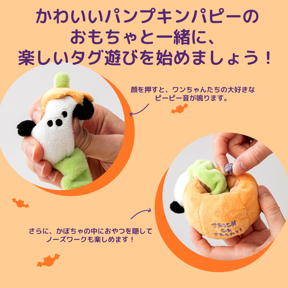 ※予約販売【BITE ME】Halloween Pumpkin Puppy Stretchy Toy