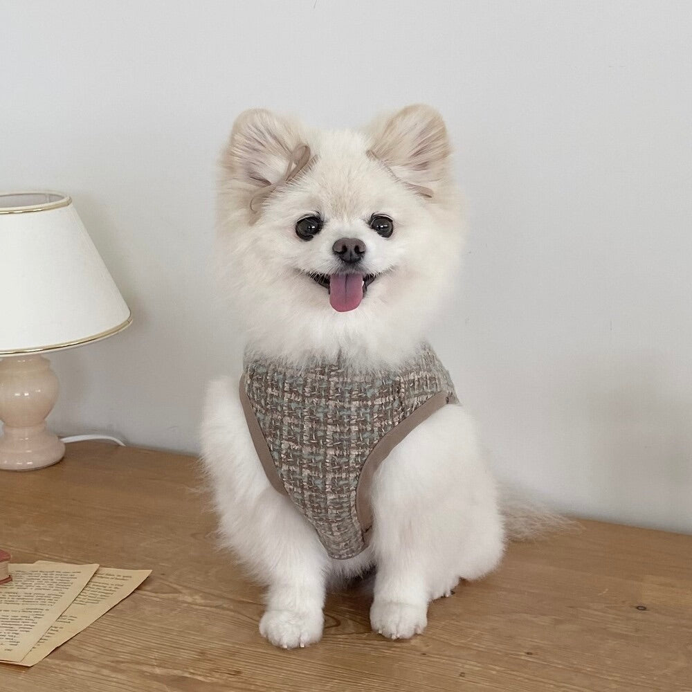 Bonjour TOU-TOU（ボンジュールトウトウ） – URBAN DOG TOKYO