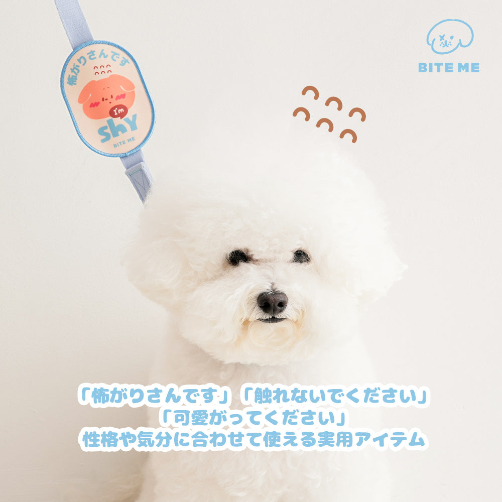 海外犬服 高品質なインポートのドッグウェア通販 