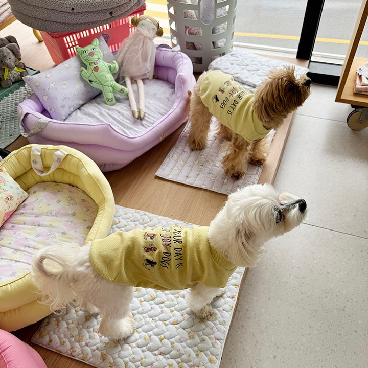 ※予約販売【OOPS! MY DOG】My Quote T（Yellow）